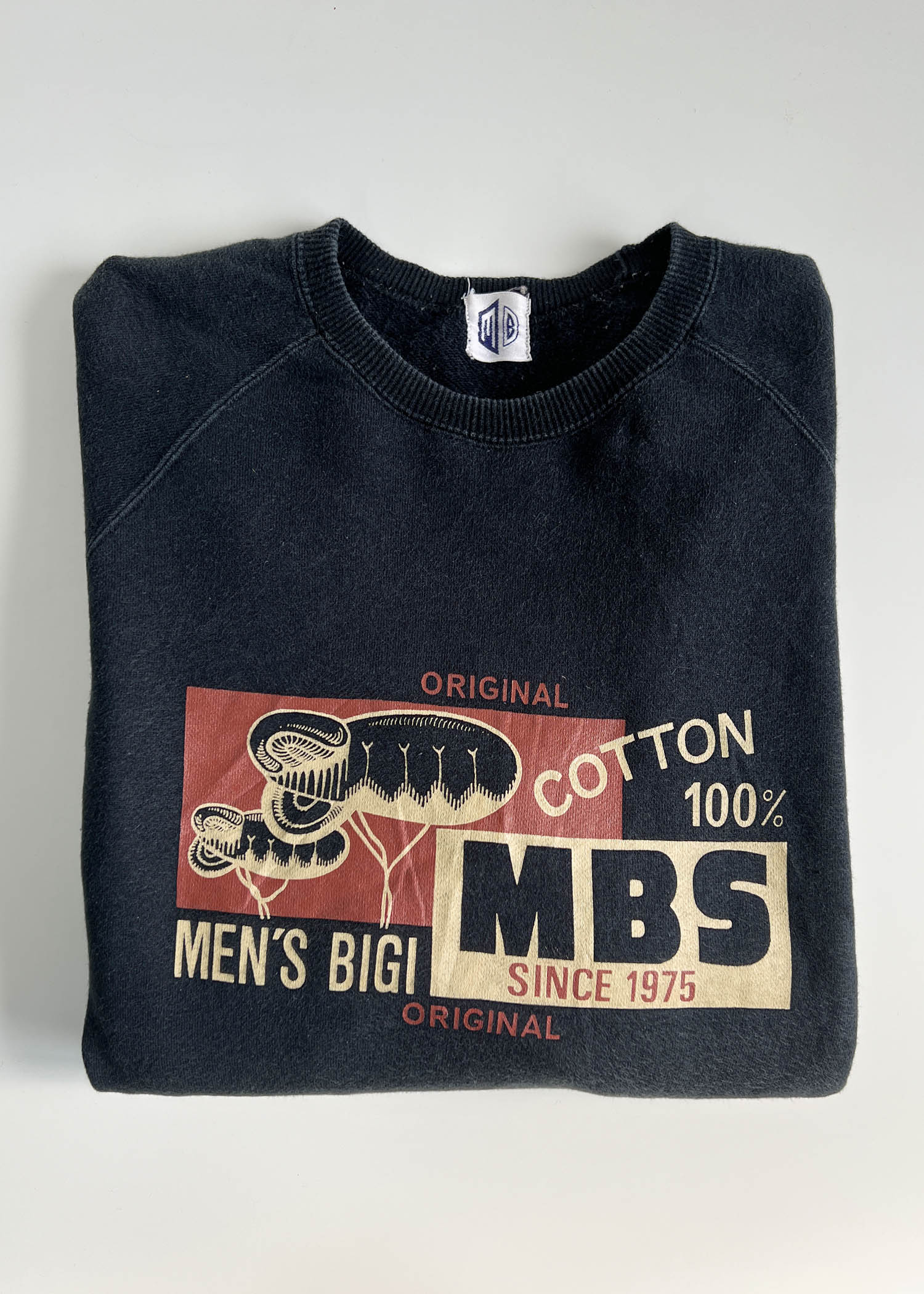 MEN&#039;S BIGI sweatshirts